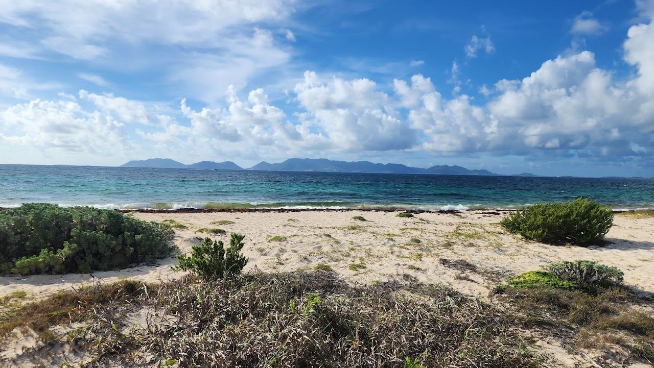 A calm clear beach and pale sand in Anguilla in warm afternoon light