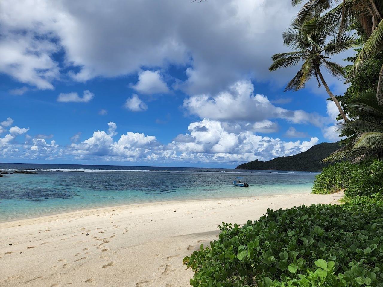 Calm turquoise water and casuarina trees along the quiet sands of Anse Forbans on south east Mahe in Seychelles