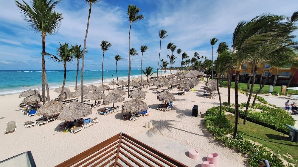 Gentle clear shallows and palm backed white sand along Playa Arena Blanca in Bavaro Punta Cana