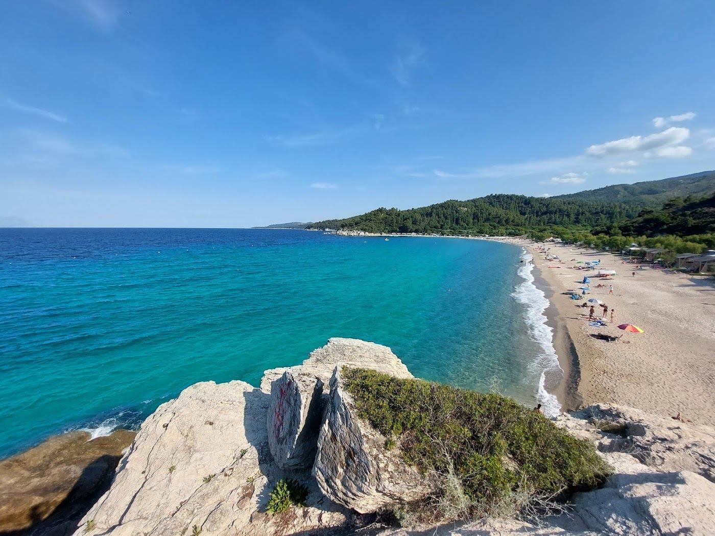 Pine backed sand and clear water at Armenistis beach near Sarti on Sithonia in Halkidiki