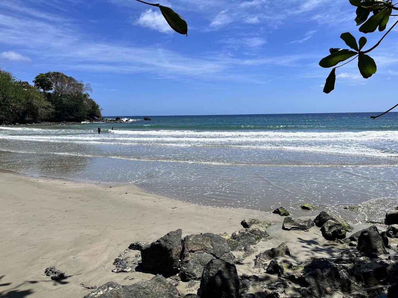 The small dark sand horseshoe cove and palm shade of Bacolet Beach near Scarborough in Tobago