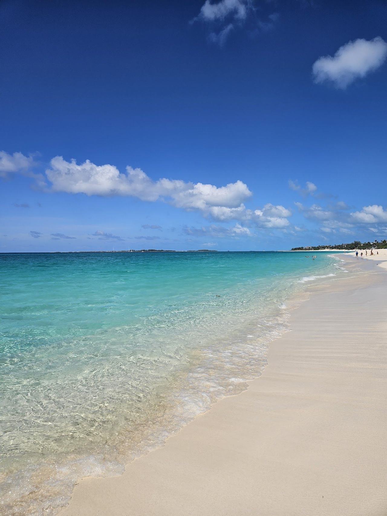 Soft white sand and glowing turquoise shallows on a beach in the Bahamas