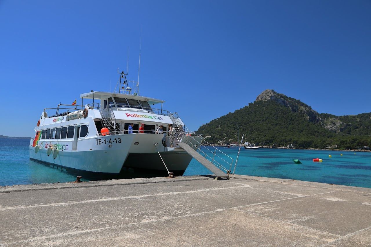 The pine fringed sand and headlands of Playa de Formentor on Mallorca