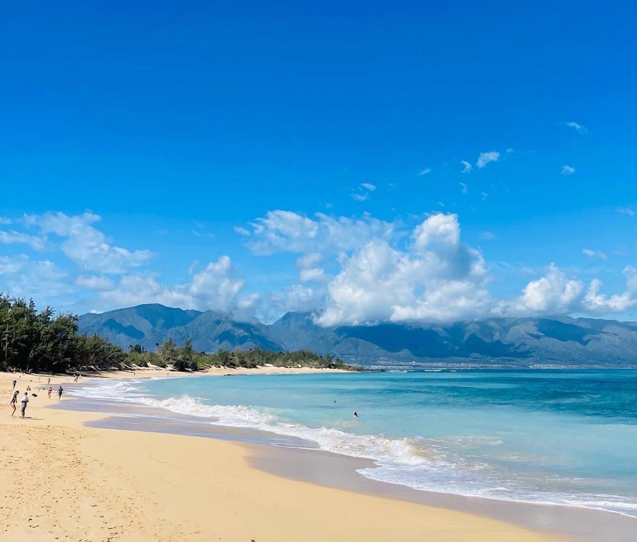 Baldwin Beach beach