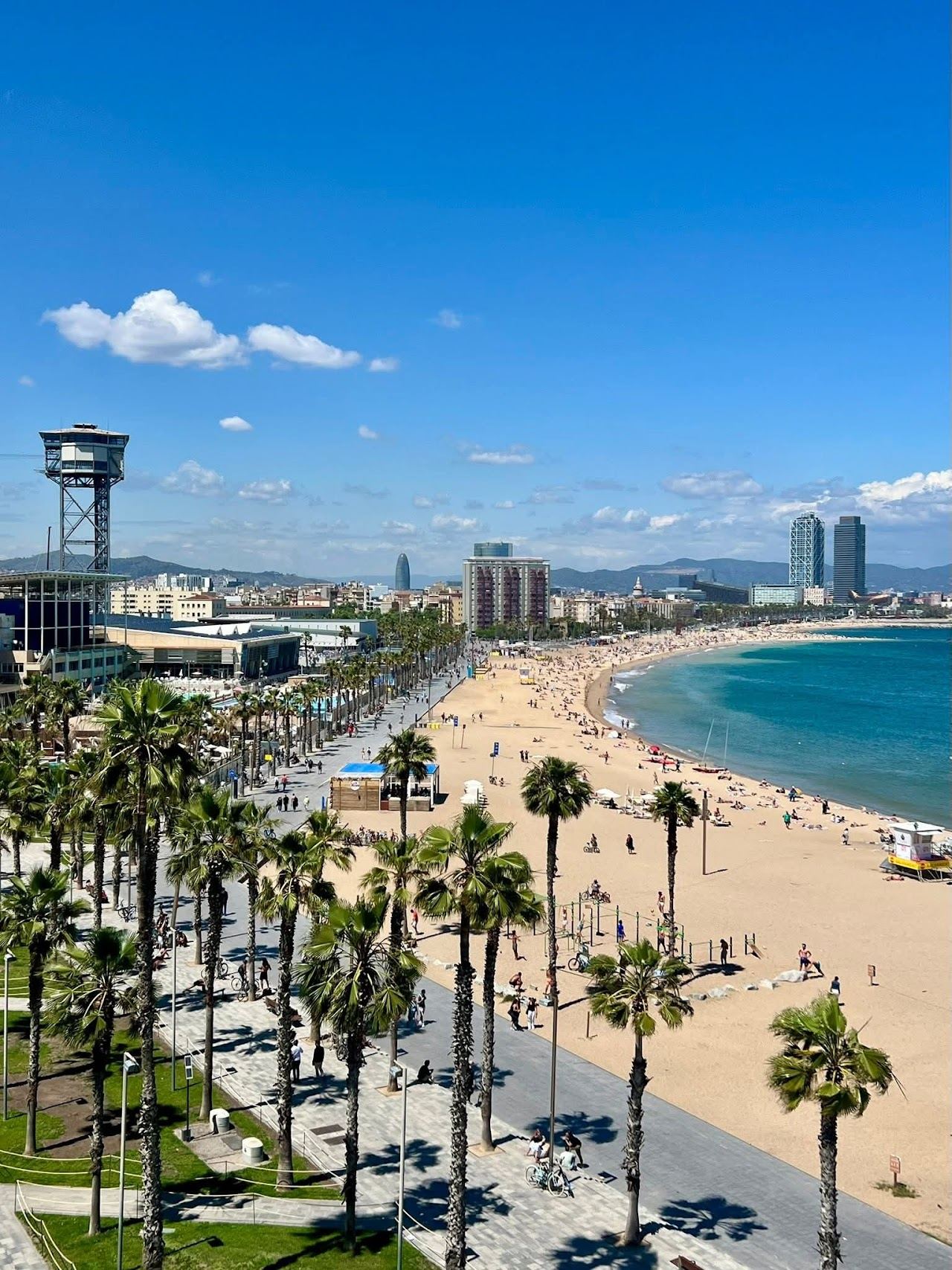 Wide golden city sand, palms and blue water at Barceloneta beach in Barcelona