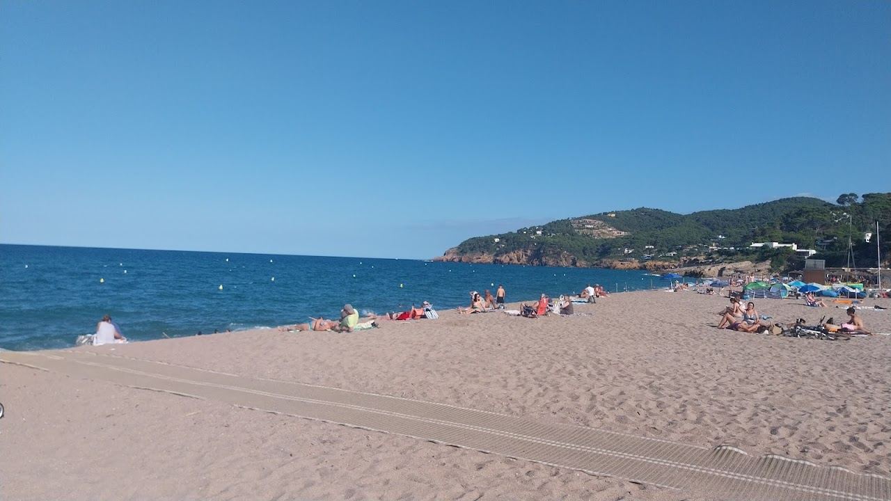 A long wide beach of golden sand backed by dunes and pine with the Medes Islands offshore at Platja de Pals