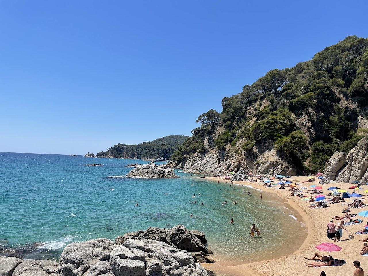 A pine framed cove of pale sand and clear turquoise water at Cala Sa Boadella near Lloret de Mar
