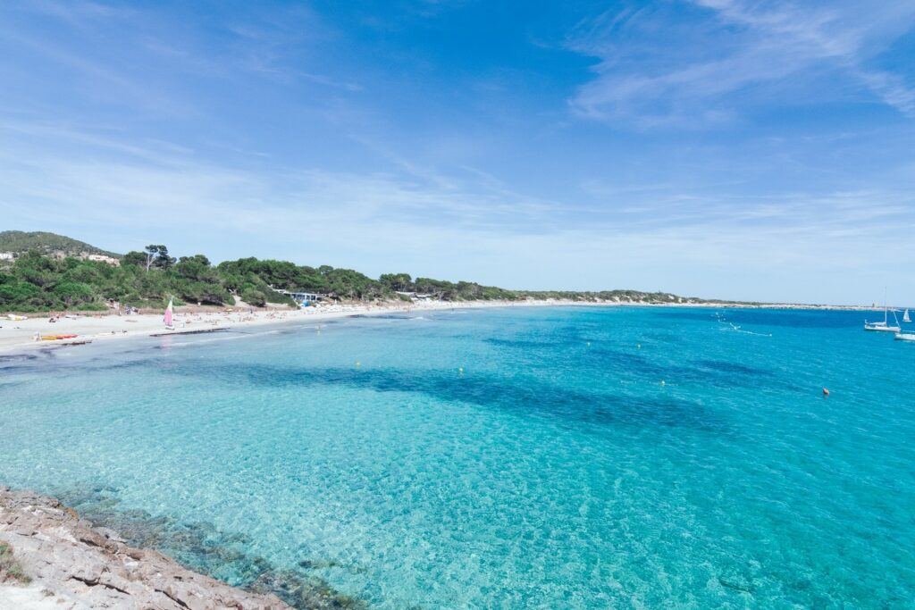 Pine fringed sand inside the natural park at Ses Salines on Ibiza