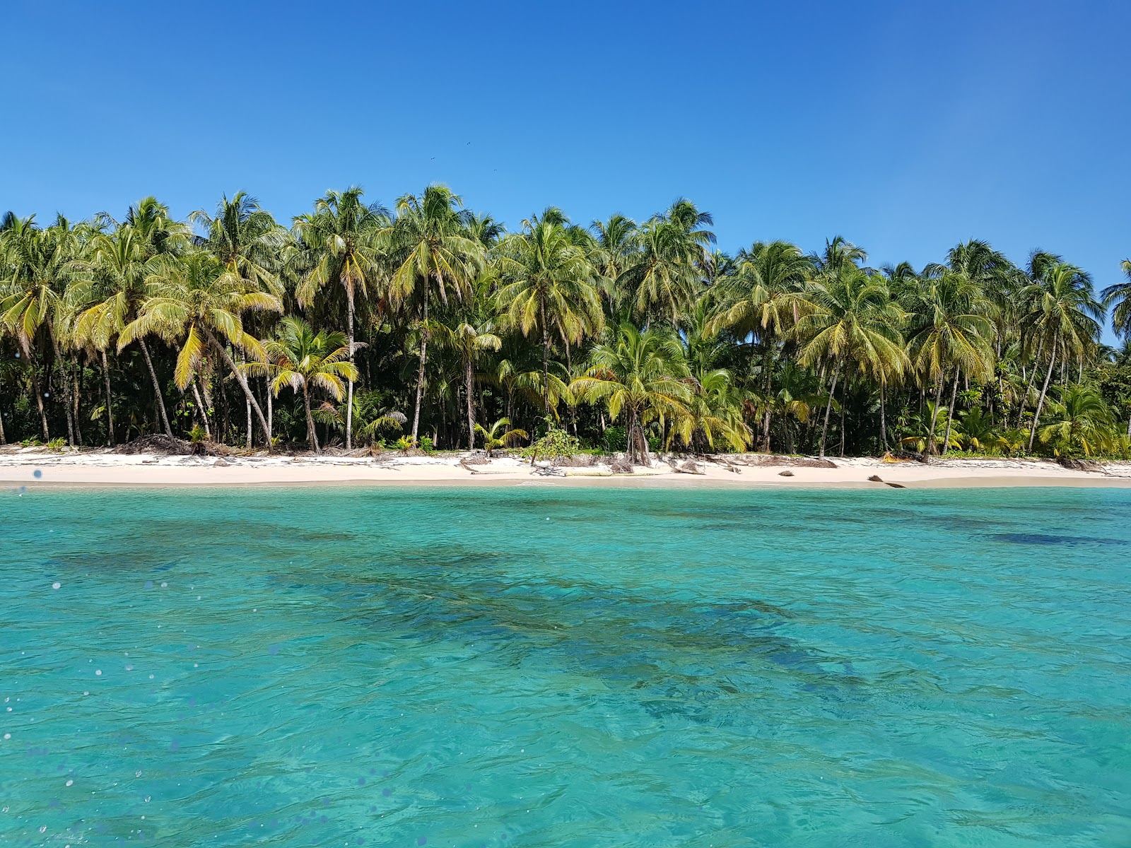 An empty island beach of pale sand and turquoise water in the Bocas del Toro marine park.