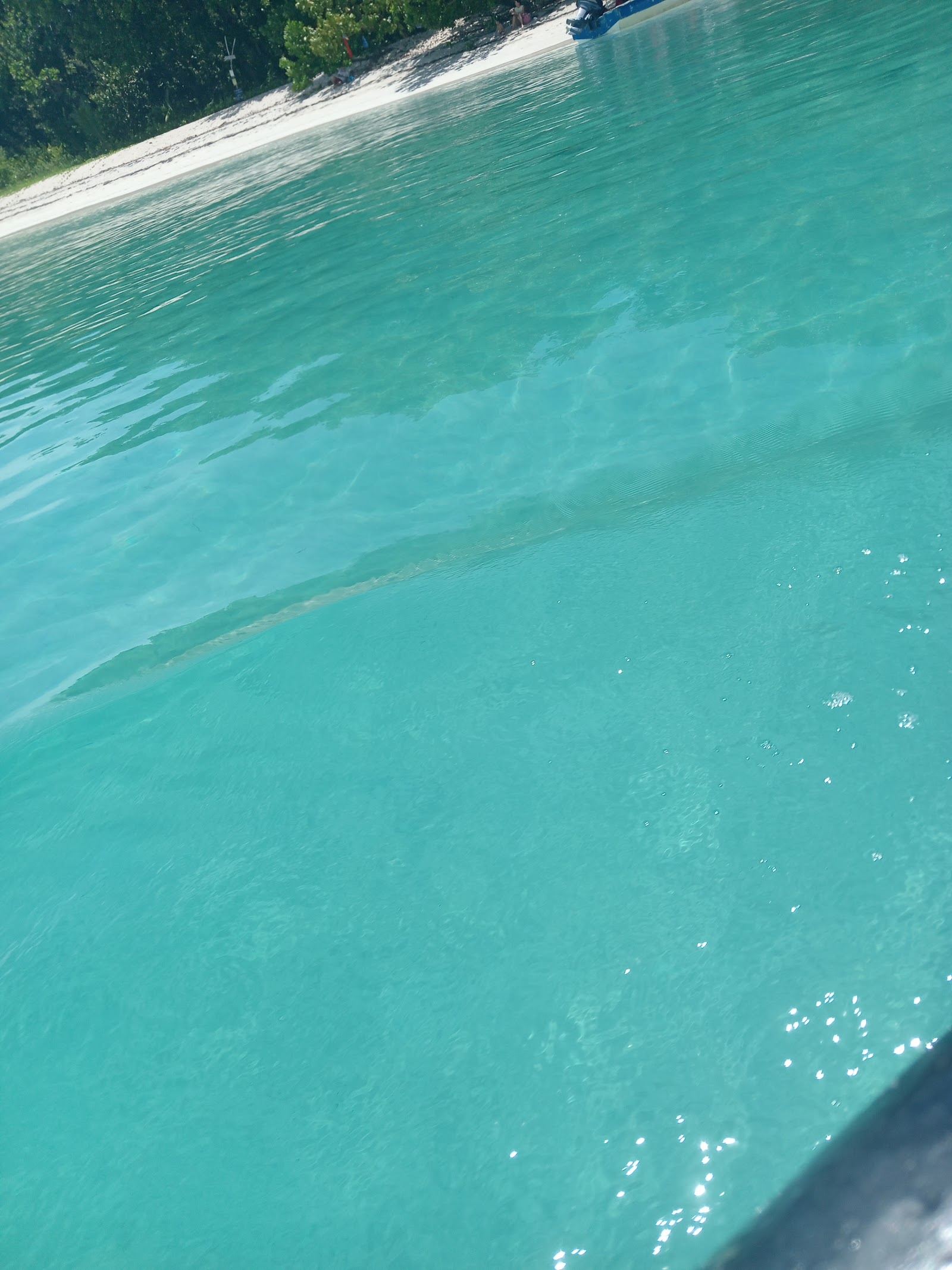 A wild empty cove of pale sand and clear water on the cays of Bocas del Toro