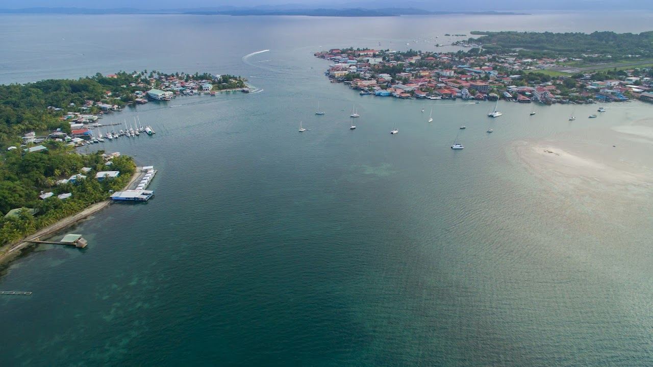 Palms and calm water across the Bocas del Toro islands