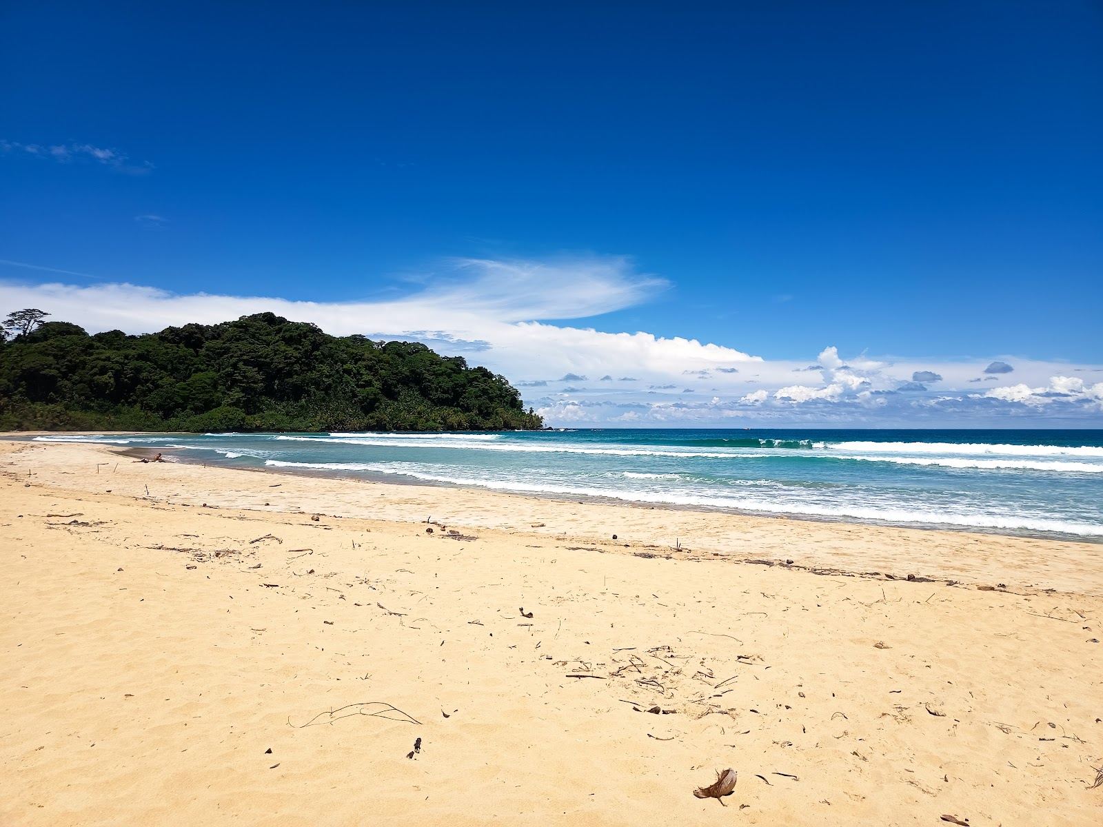 Palm backed golden sand and open ocean surf at Wizard Beach on Isla Bastimentos in Bocas del Toro