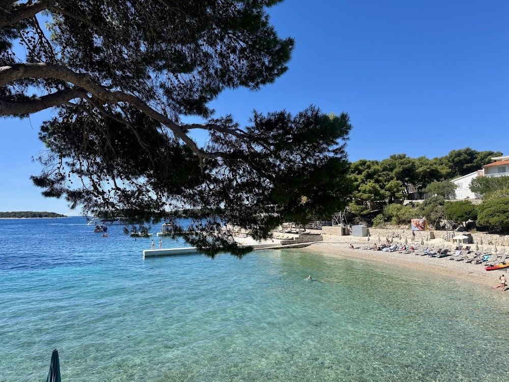 Clear turquoise water and pine backed stone shore at Bonj cove near Hvar town