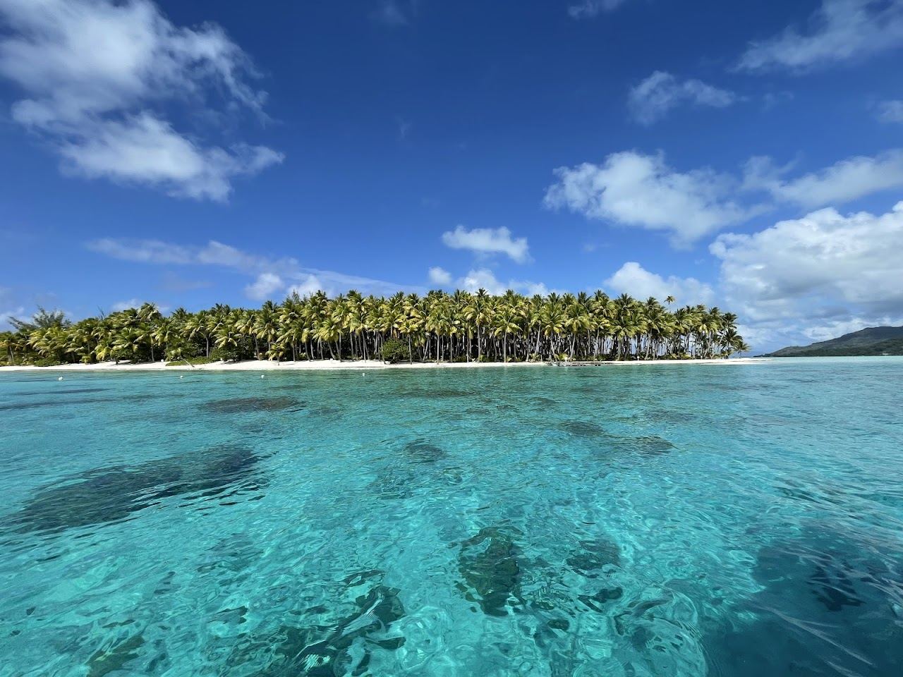 Coconut palms and pale sand on a private motu in the turquoise lagoon of Bora Bora