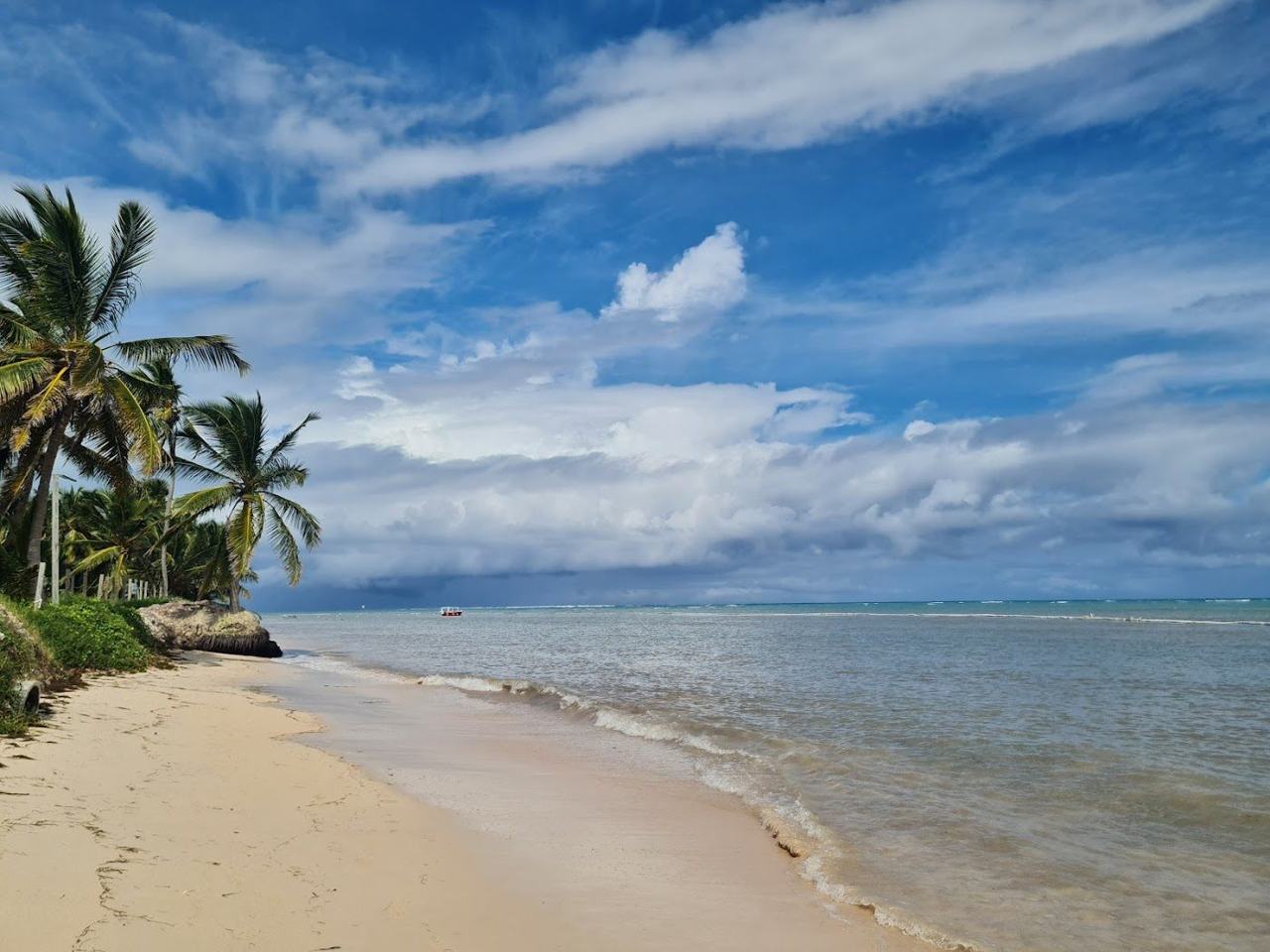 Calm shallows and a fringe of palms along Cabeza de Toro in Punta Cana