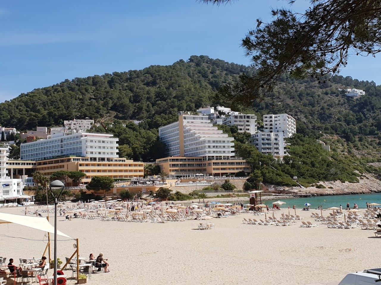 Golden sand and calm sheltered water framed by pine clad headlands at Cala Llonga in Ibiza