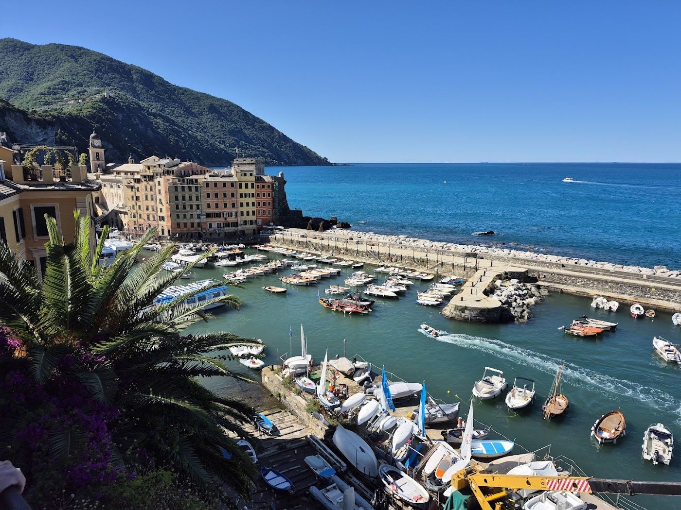 The harbour and tall colourful houses of the fishing village of Camogli in Liguria