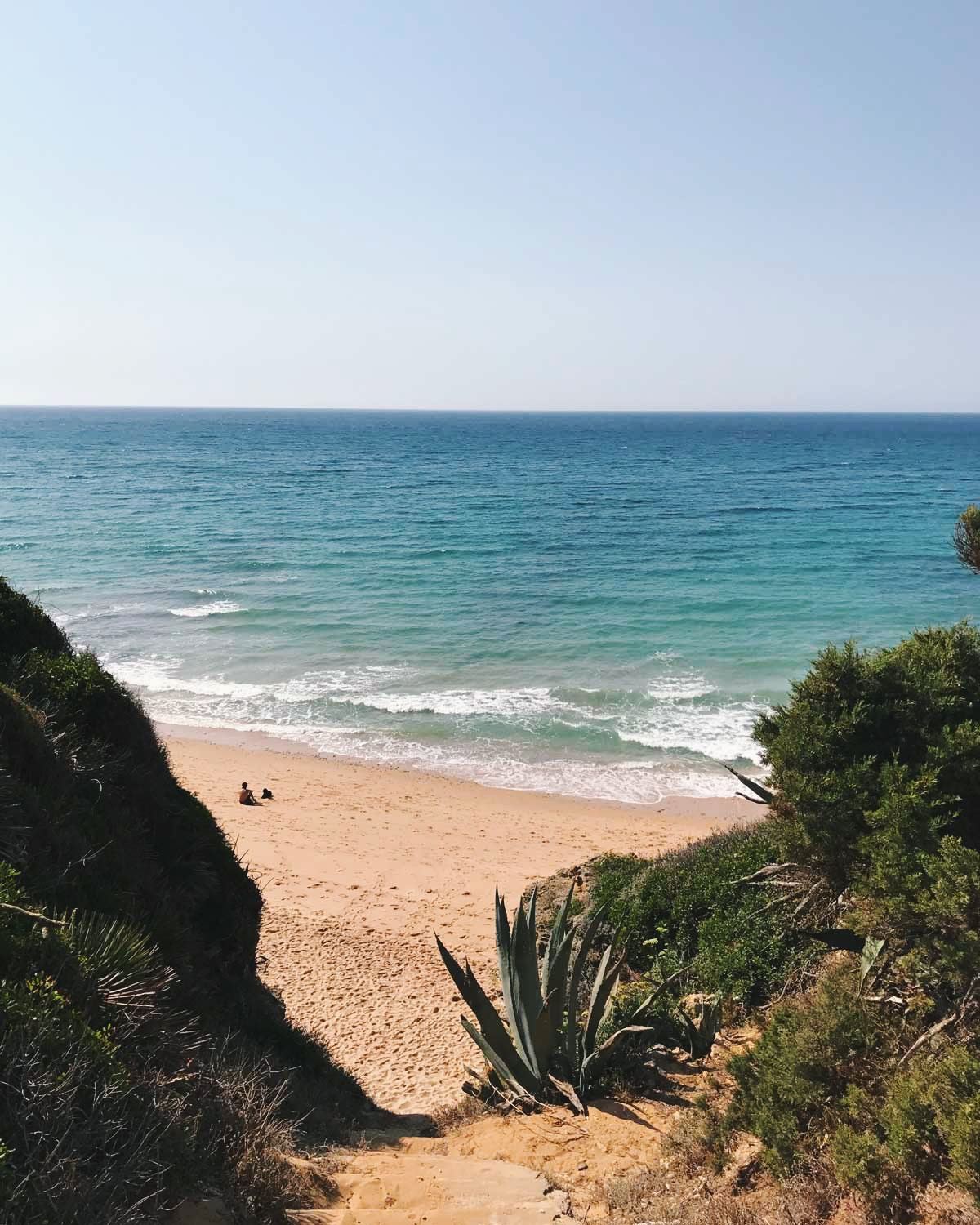 Pine backed cliffs and open Atlantic sand at Canos de Meca beach near Cape Trafalgar on the Costa de la Luz