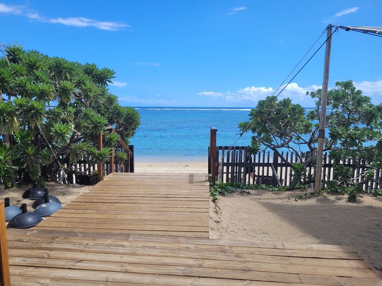 Filao pines and the calm lagoon at Cap Homard, La Saline les Bains, Reunion