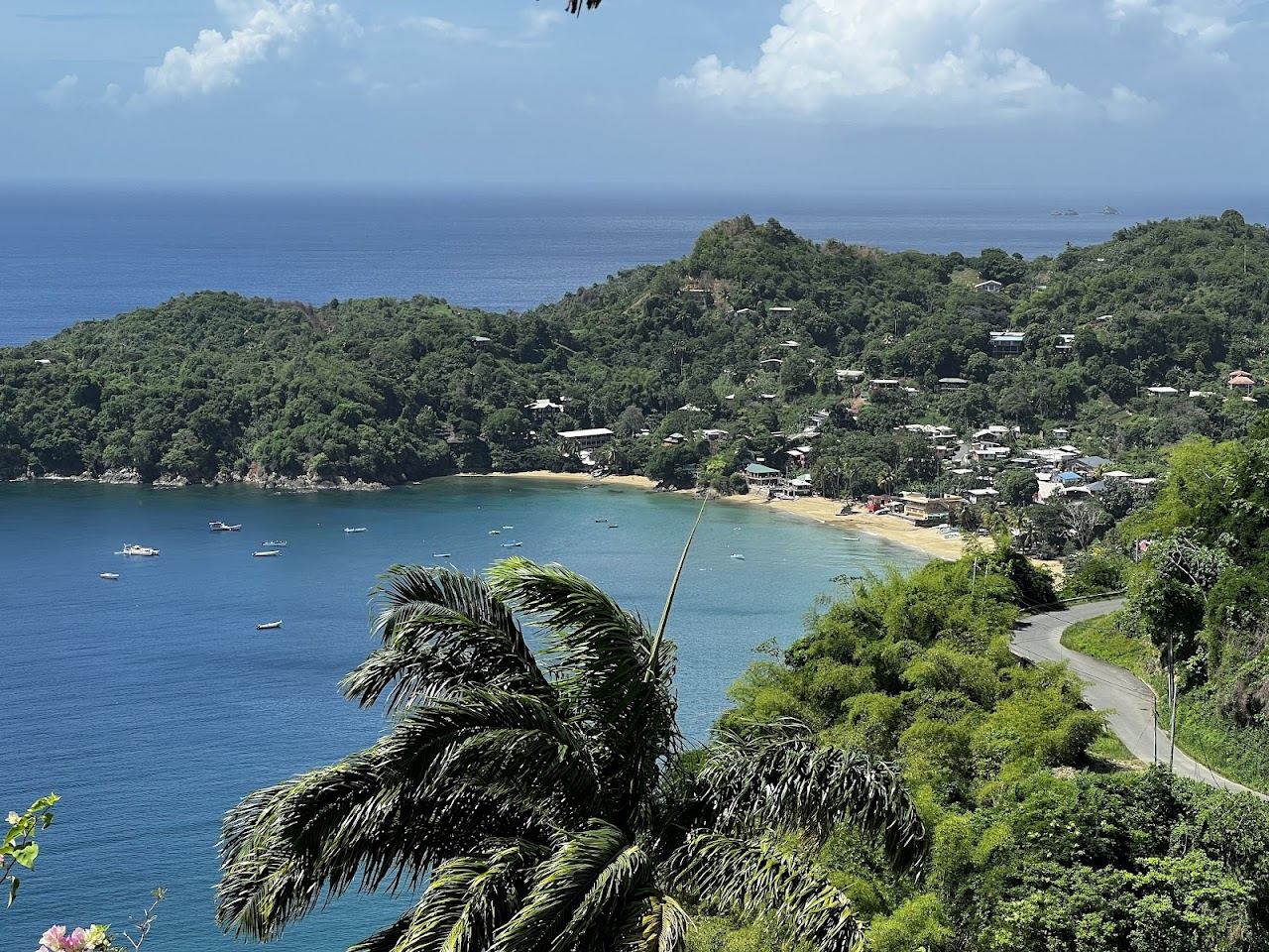 Fishing boats and palms on the soft sand of Castara Beach in Tobago