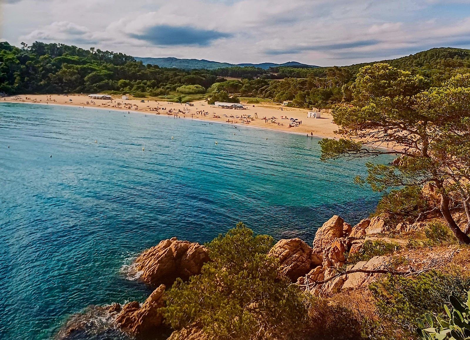 Pine backed shoreline and clear shallows at Platja de Castell near Palamos