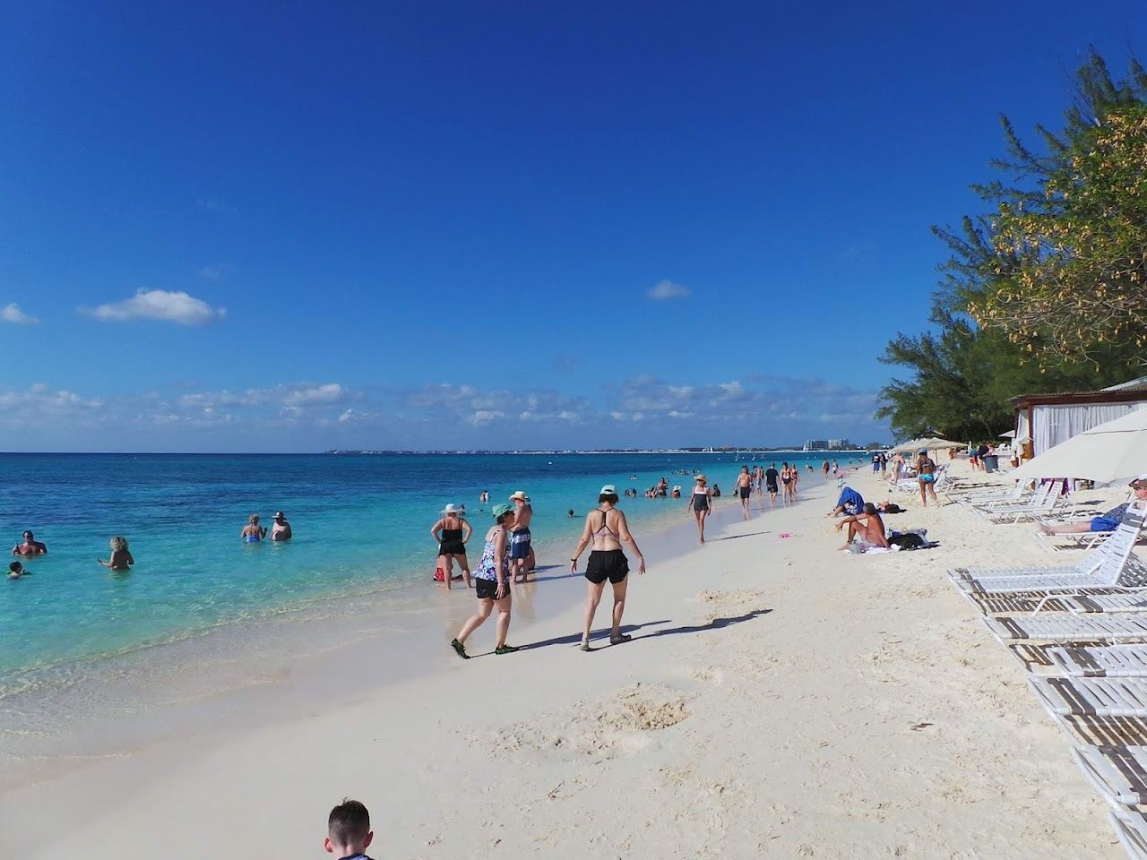 Beach loungers and calm turquoise water along Seven Mile Beach on Grand Cayman