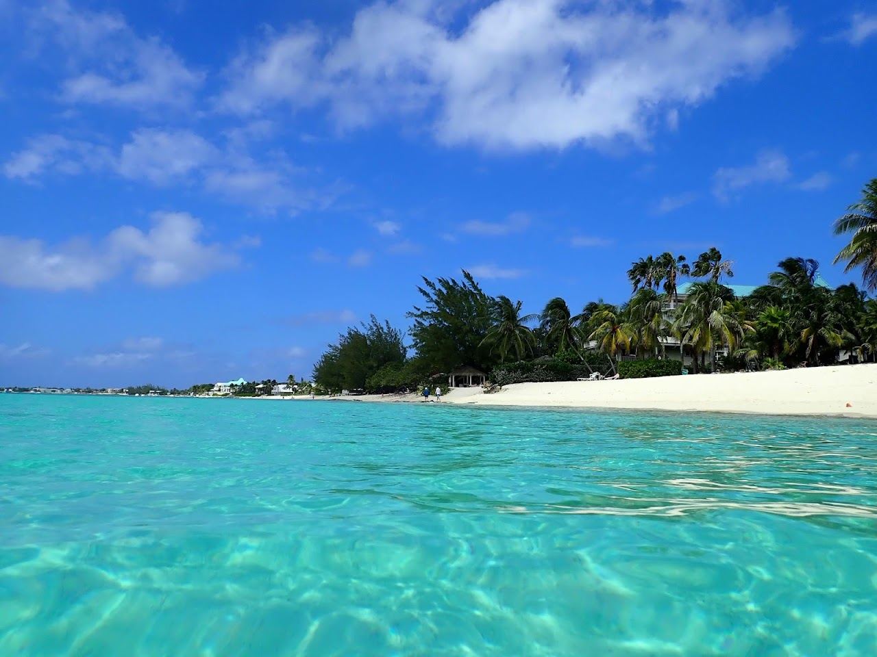 Calm clear water and pale sand on the Grand Cayman coast used for the season guide