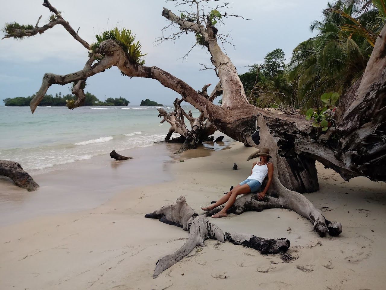 Palm backed golden sand and Caribbean surf at Red Frog Beach in Bocas del Toro, Panama