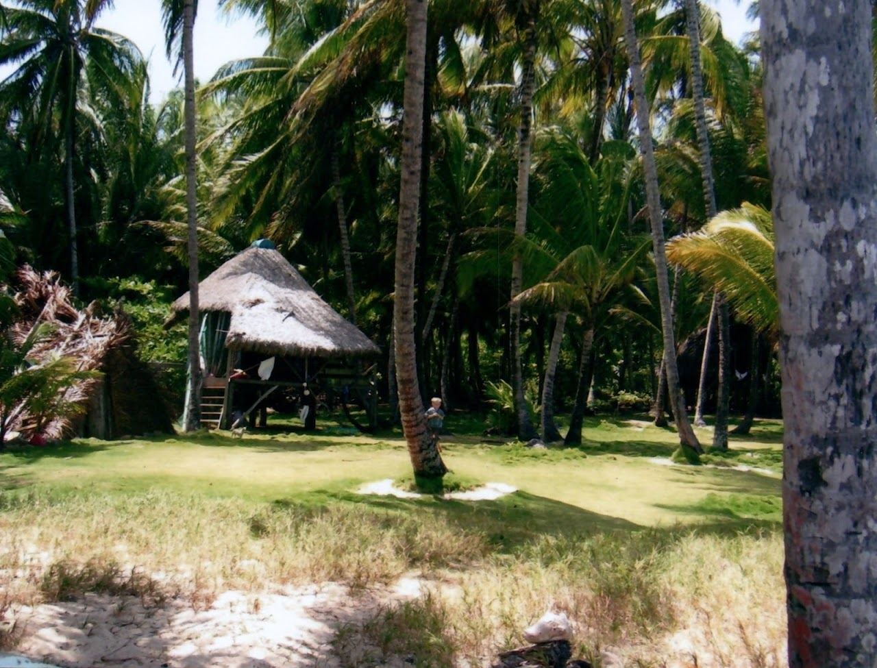 Clear shallow water and coconut palms on the reef fringed shore of Little Corn Island, Nicaragua
