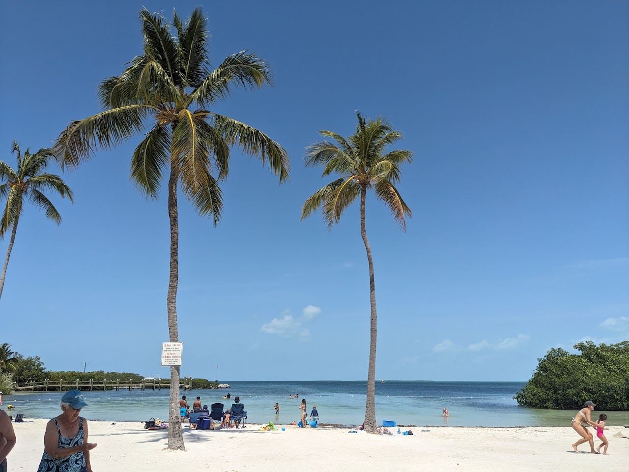 Calm shallow Atlantic water and palms on the Islamorada oceanfront in the Florida Keys