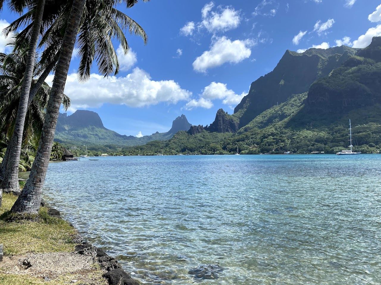 The turquoise water and jagged green peaks framing Cook's Bay on the north coast of Moorea