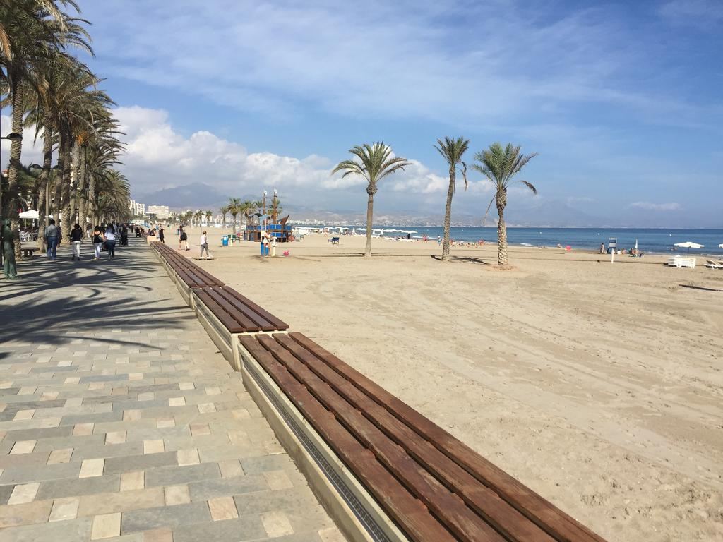 The long city beach and palm promenade at Playa de San Juan near Alicante