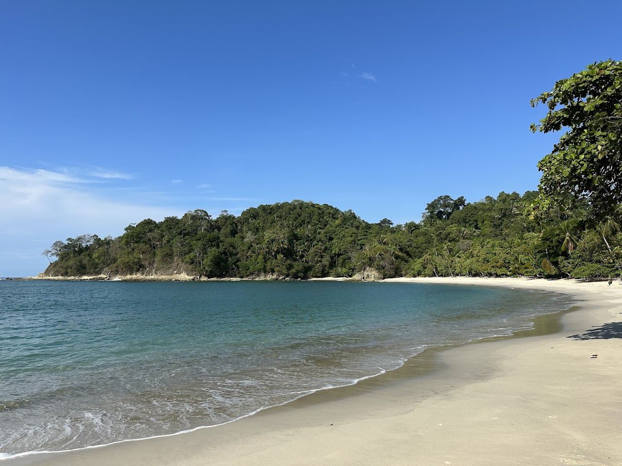 Soft sand backed by rainforest where monkeys roam at Manuel Antonio in Costa Rica
