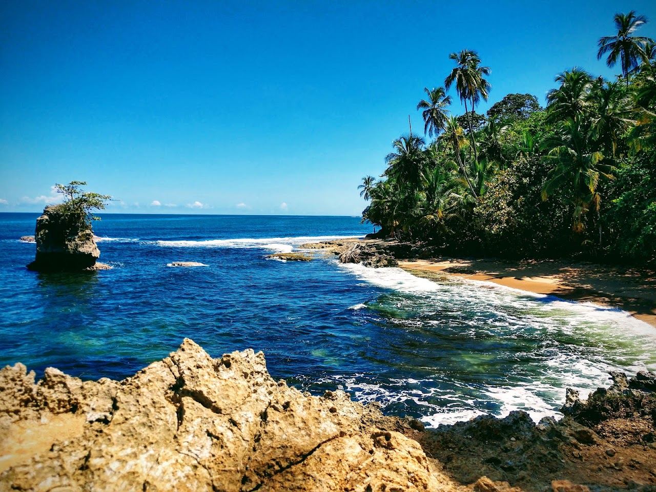 A calm reef sheltered Caribbean cove with palms at Manzanillo in Costa Rica