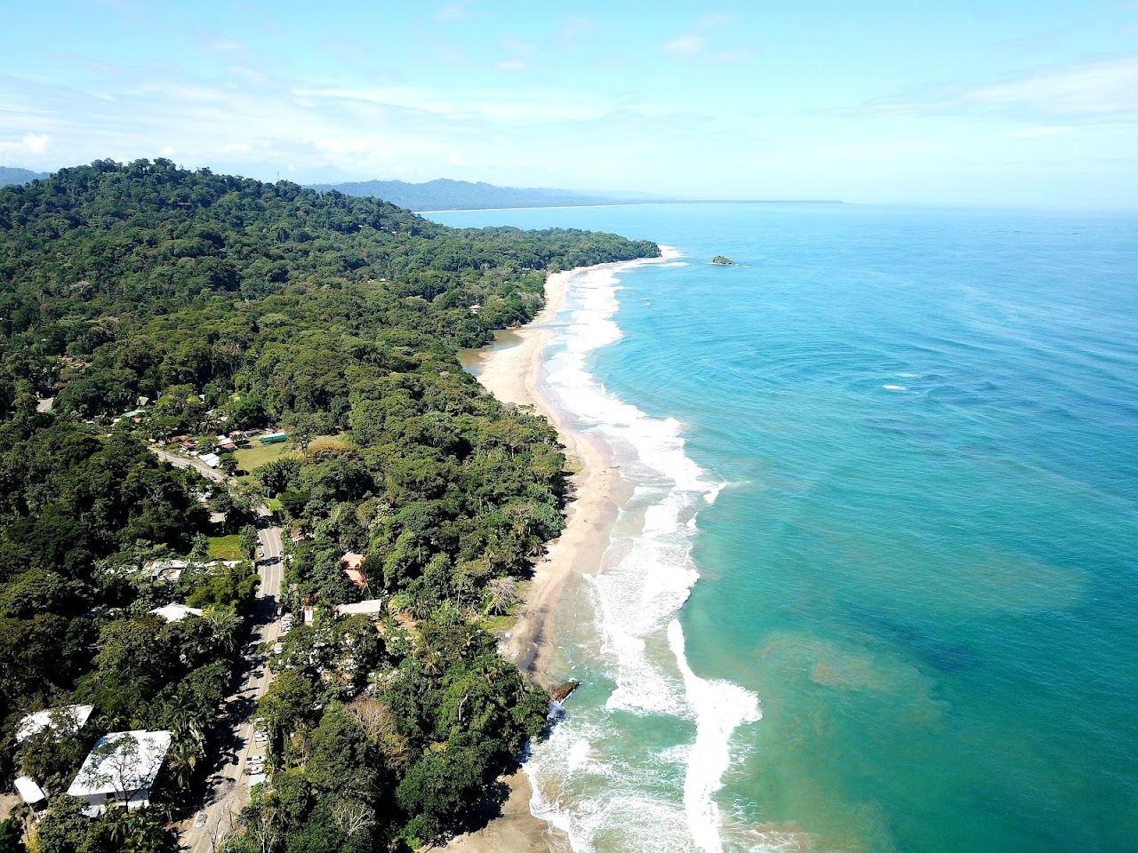 A wild palm backed Caribbean surf beach with golden sand at Playa Cocles near Puerto Viejo
