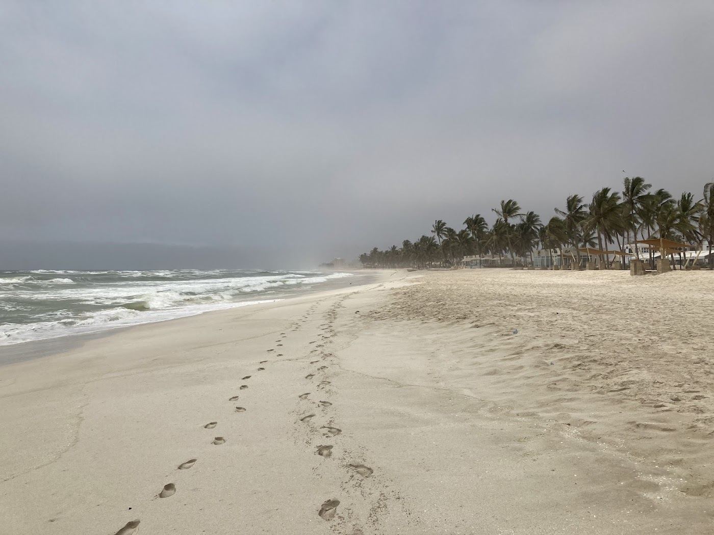 The shoreline and pale sand of Dahariz Beach in Salalah
