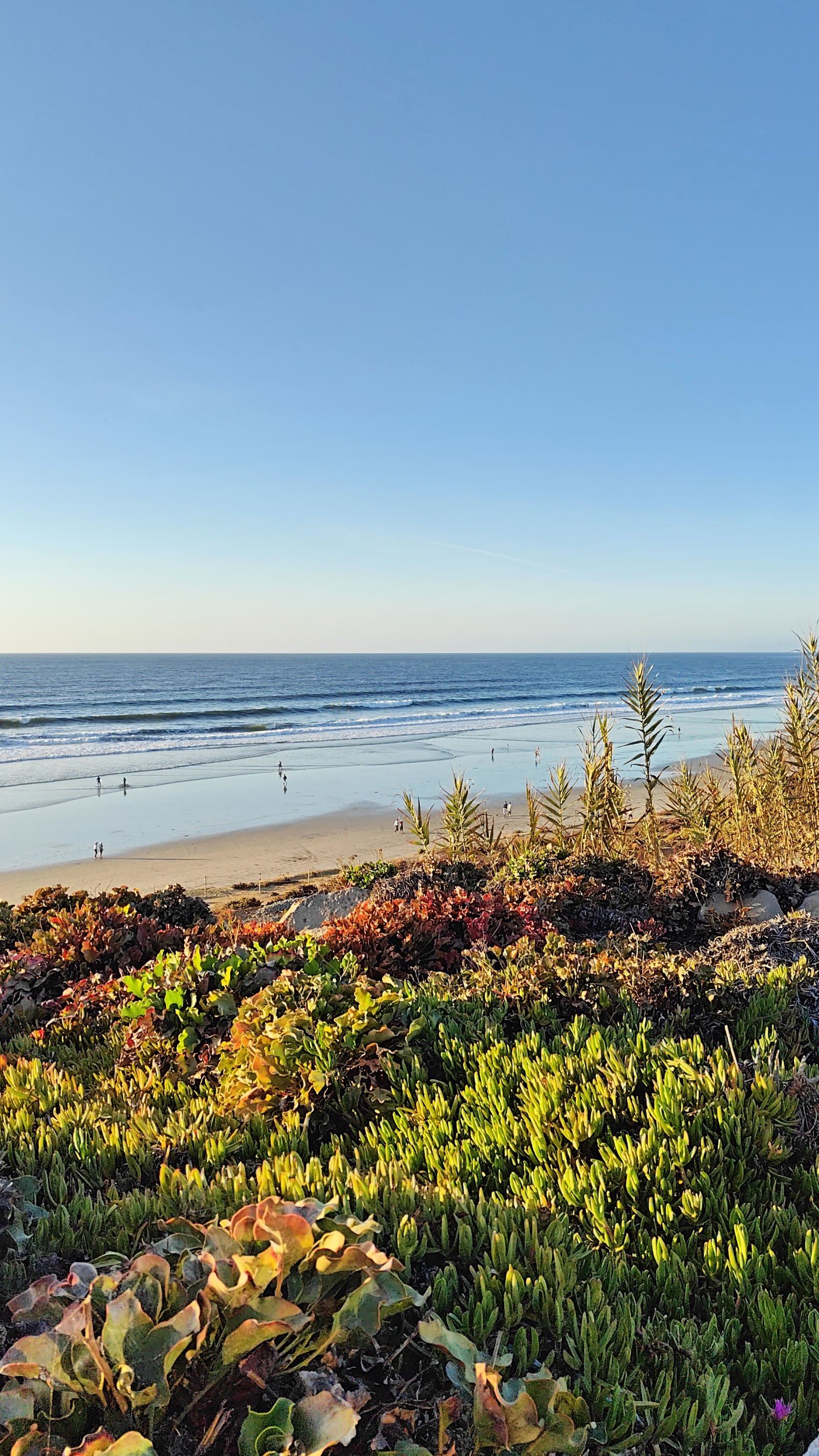 Del Mar Beach San Diego wide sandy strand below the bluff town