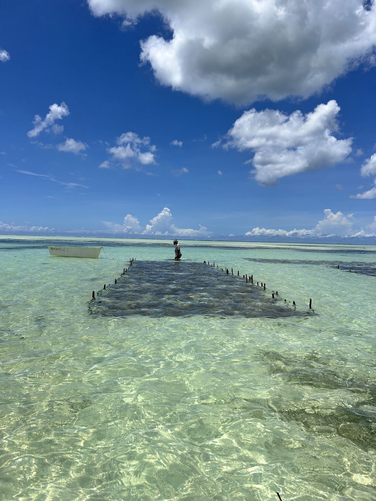 A turquoise kitesurfing beach lined with cafes at Paje on the east coast of Zanzibar