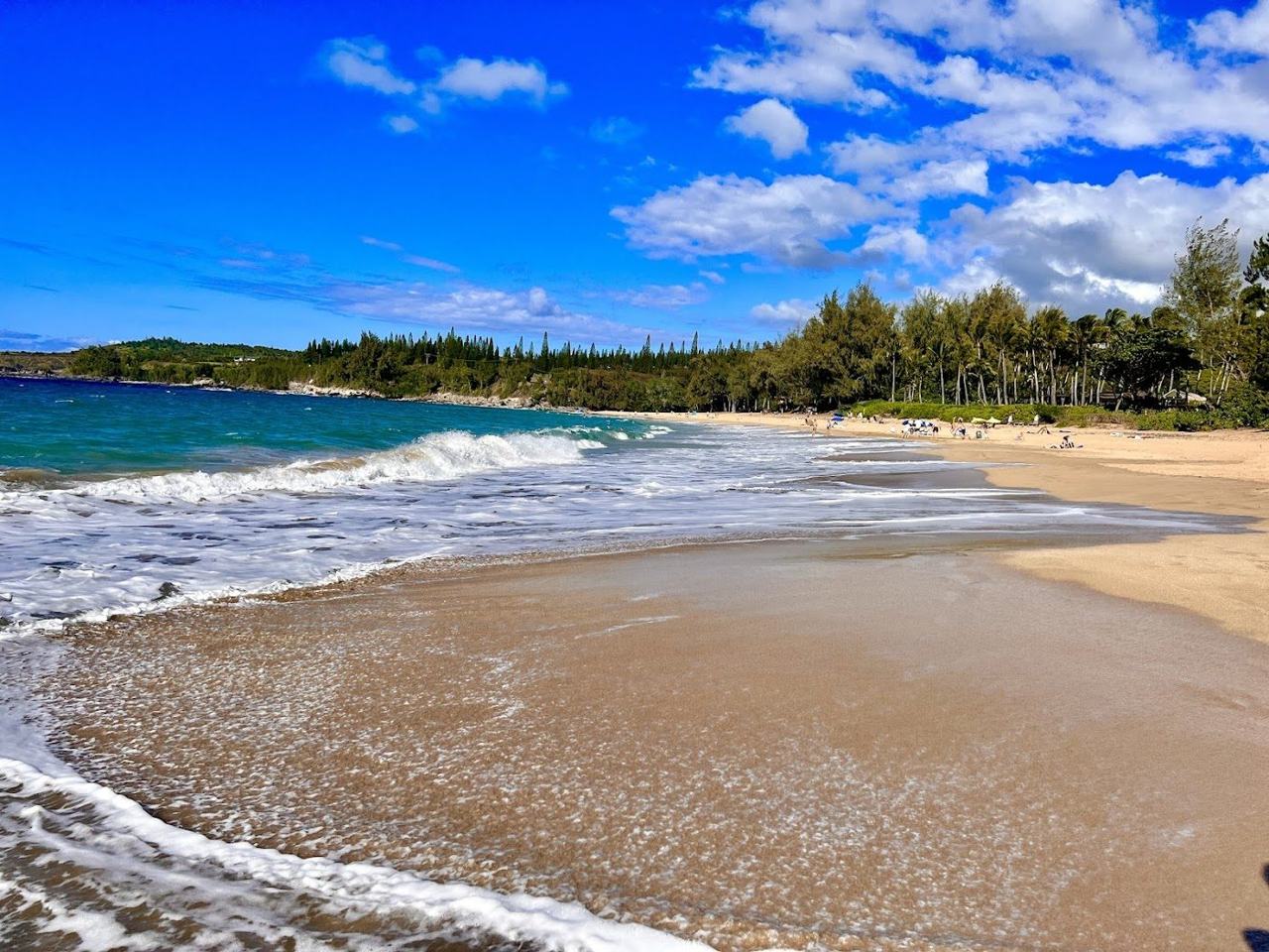 DT Fleming Beach Park Kapalua Maui a golden crescent of sand backed by ironwood trees with blue surf rolling in