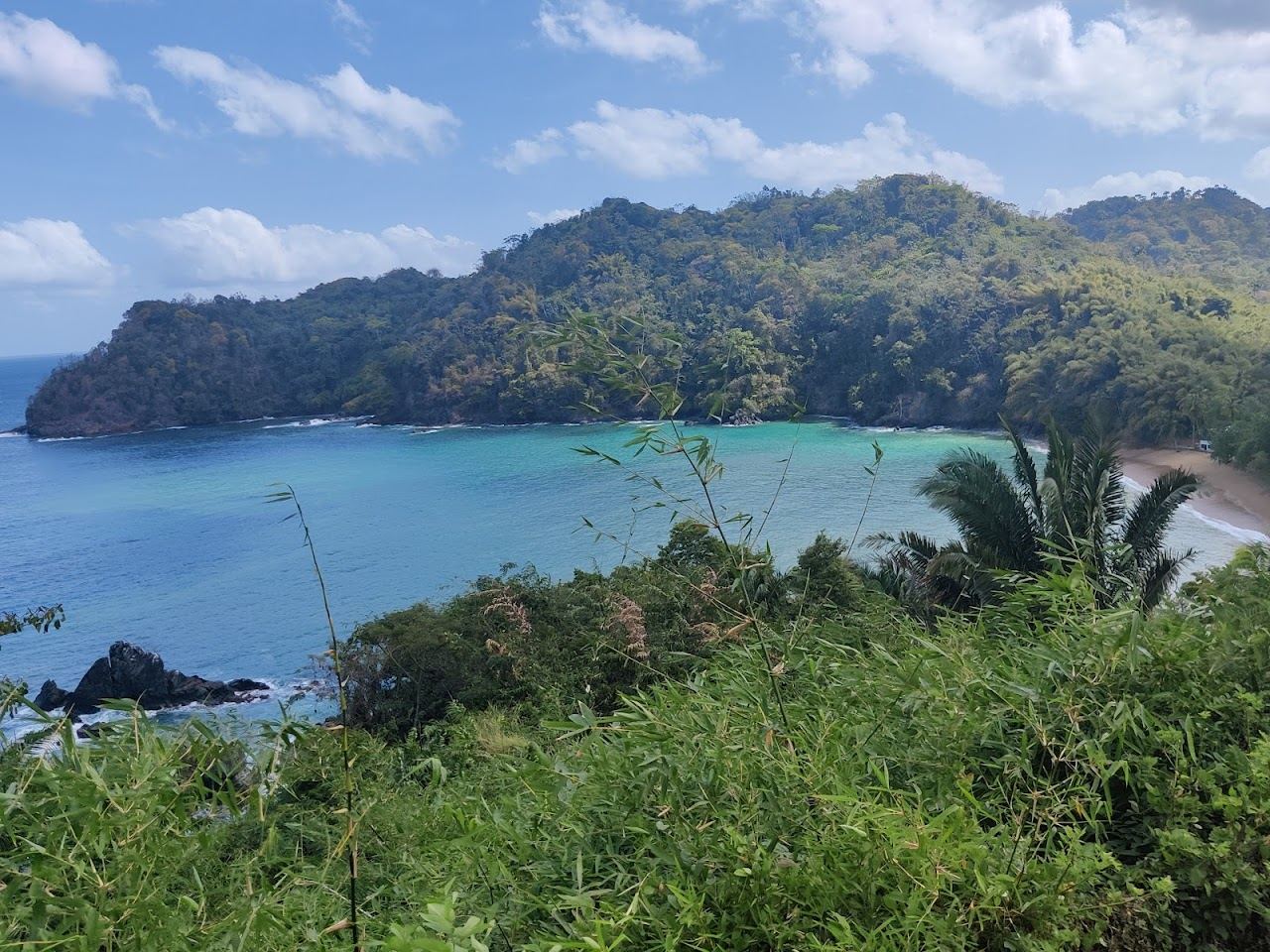 A forest backed crescent of gold sand at Englishmans Bay in Tobago