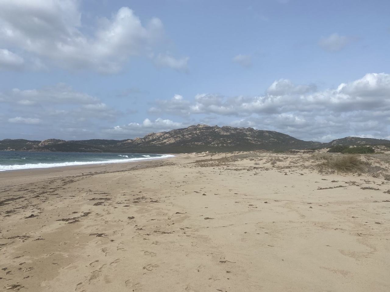 Long empty wild beach of Erbaju in southern Corsica with dunes and open sea