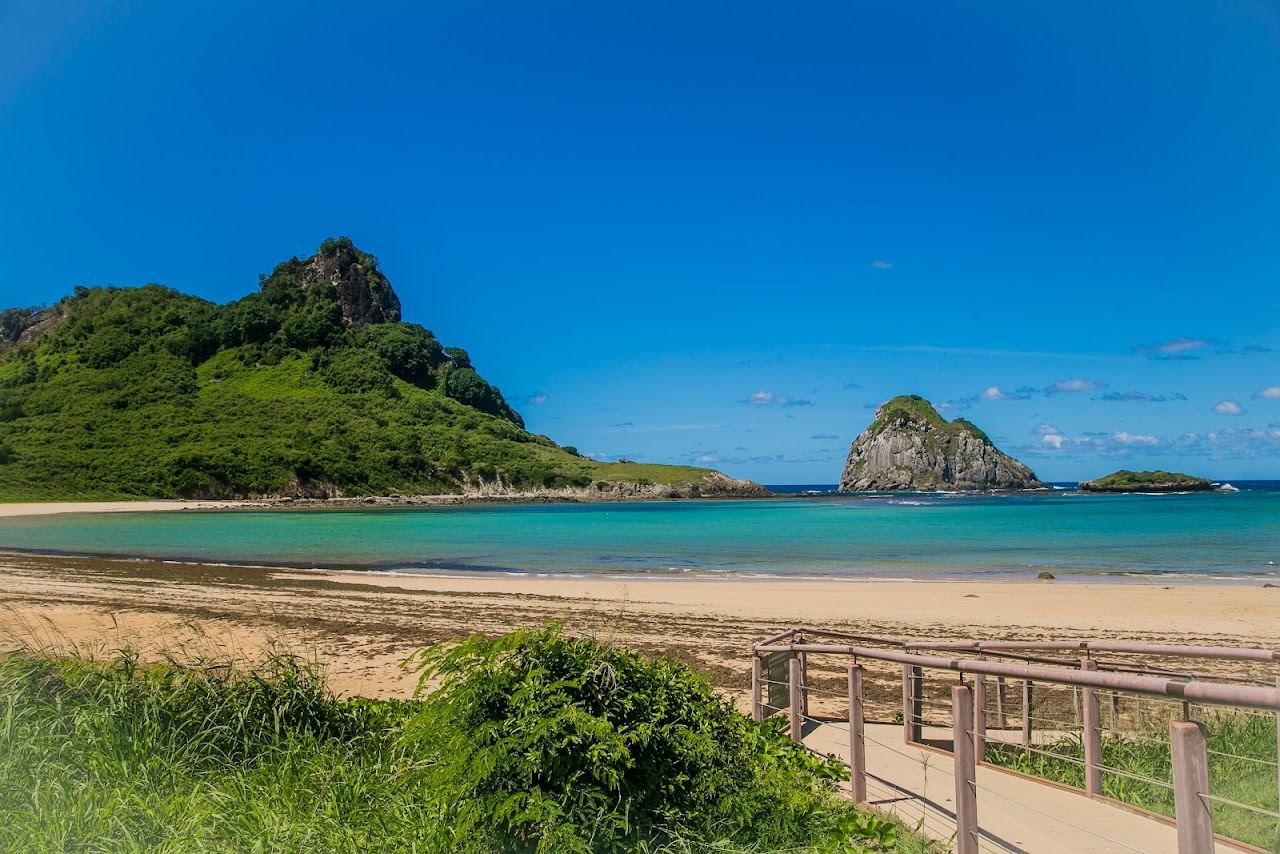 Green turtle snorkelling area in the sheltered water at Baia do Sueste on Fernando de Noronha