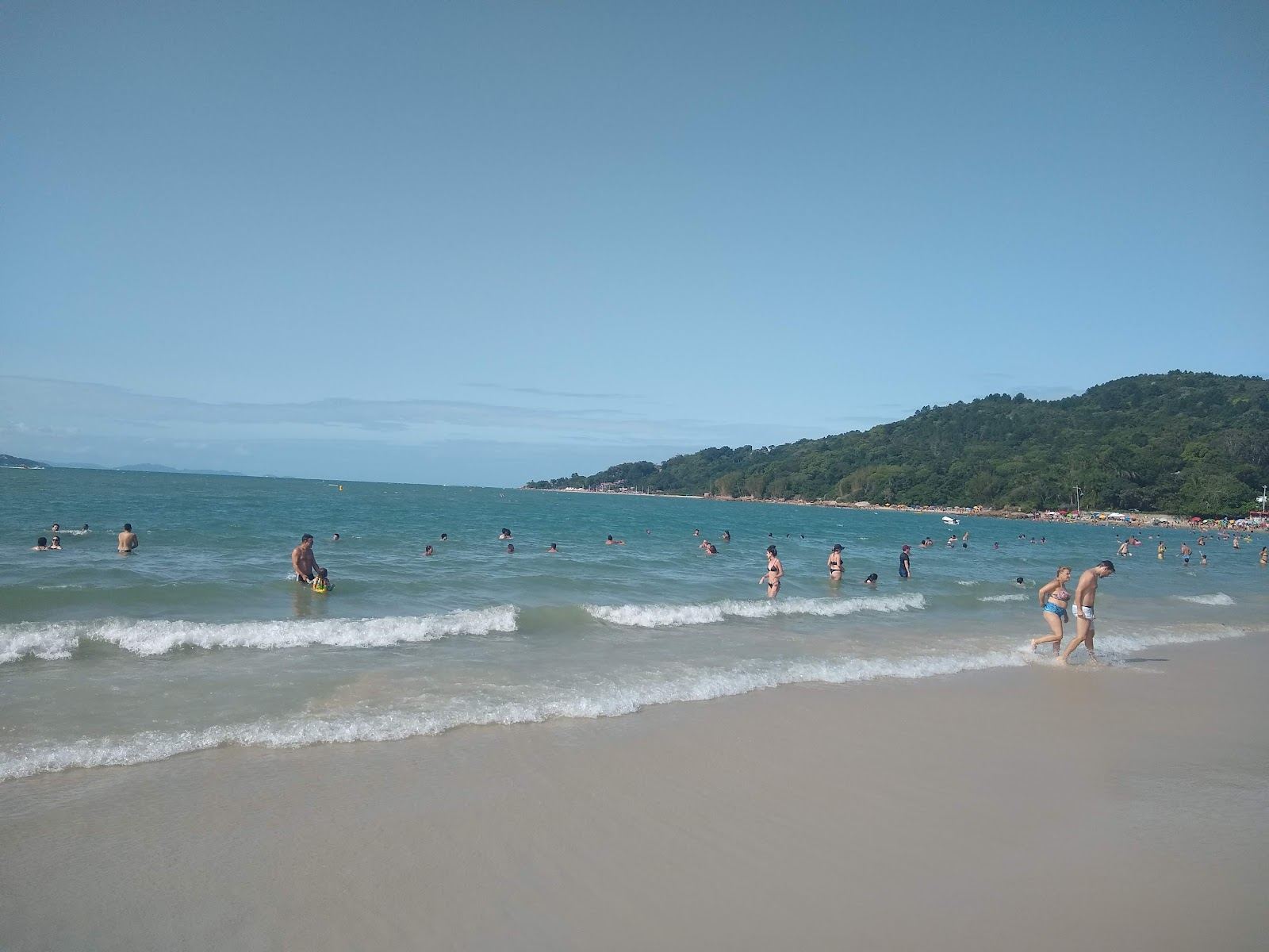Calm bay water and soft sand on the north of Florianopolis island