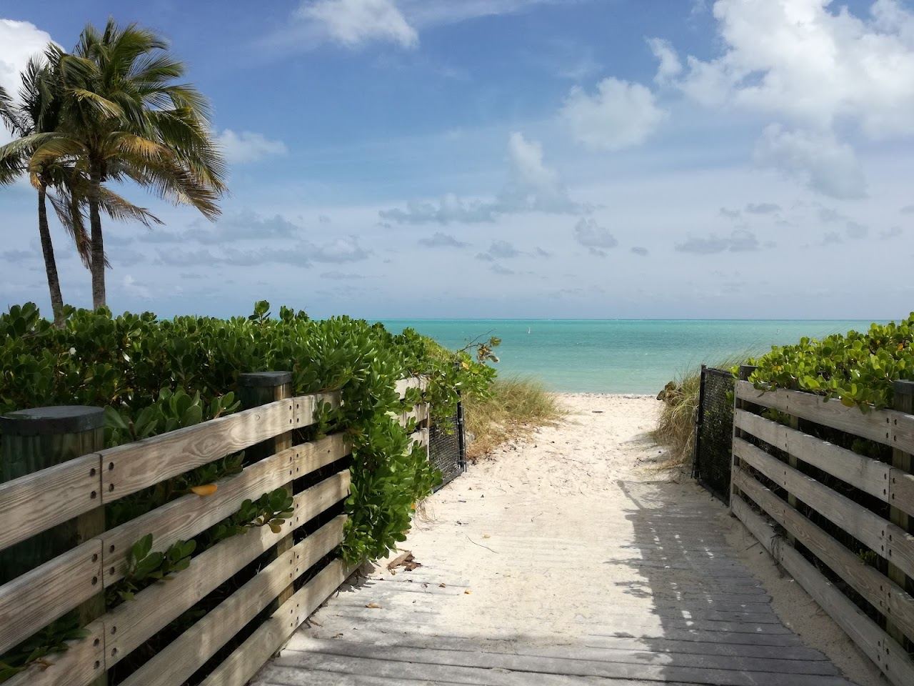 Turquoise shallows and palms along a calm sandy beach in Marathon in the Florida Keys