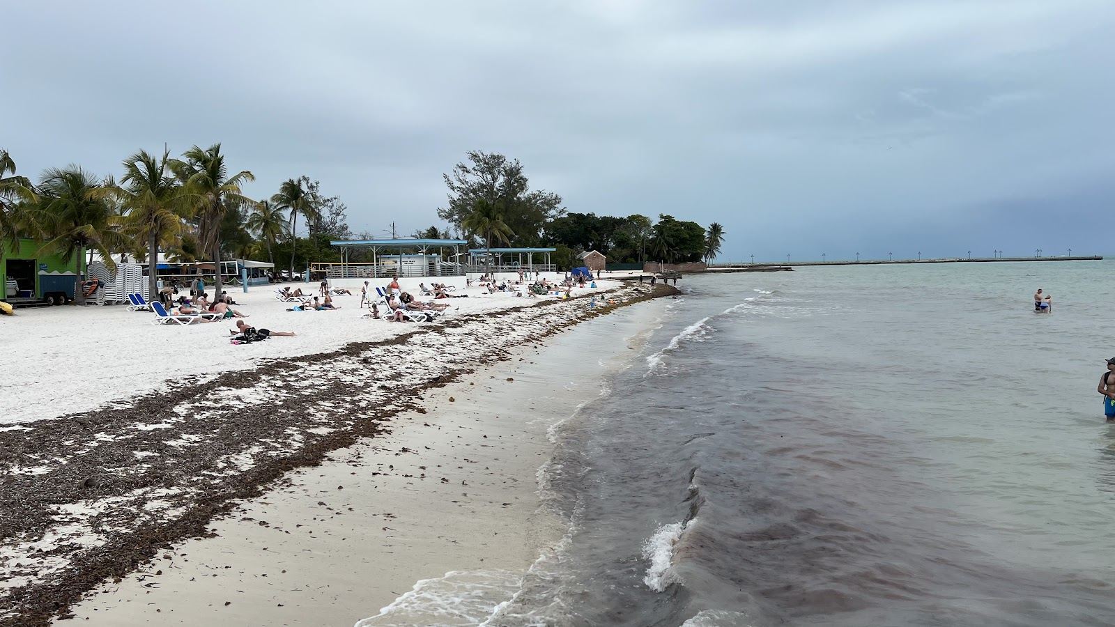 The palm shaded sand and calm water of Higgs Beach in Key West, an easy ride from the town's cafes and coworking