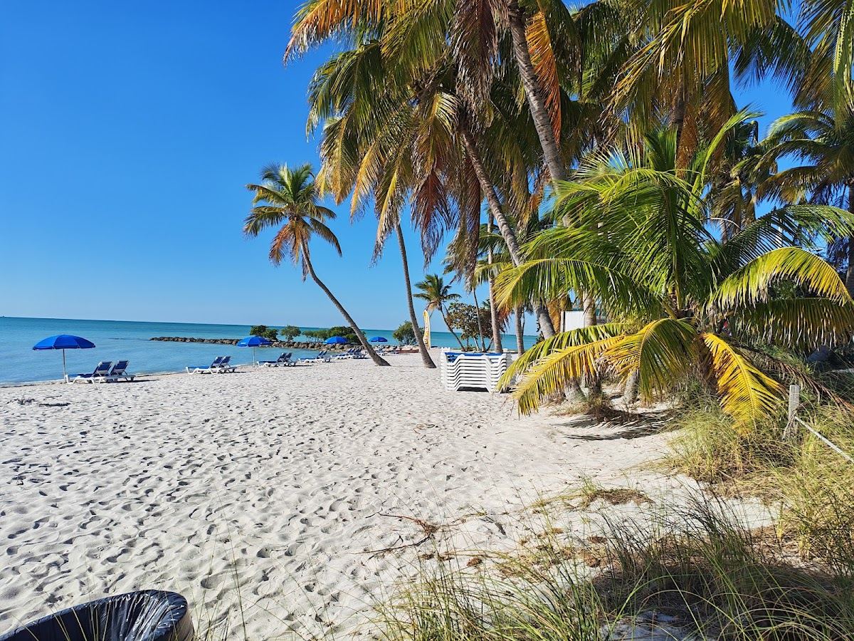 Palm trees and the open sand of Smathers Beach beside the boulevard in Key West