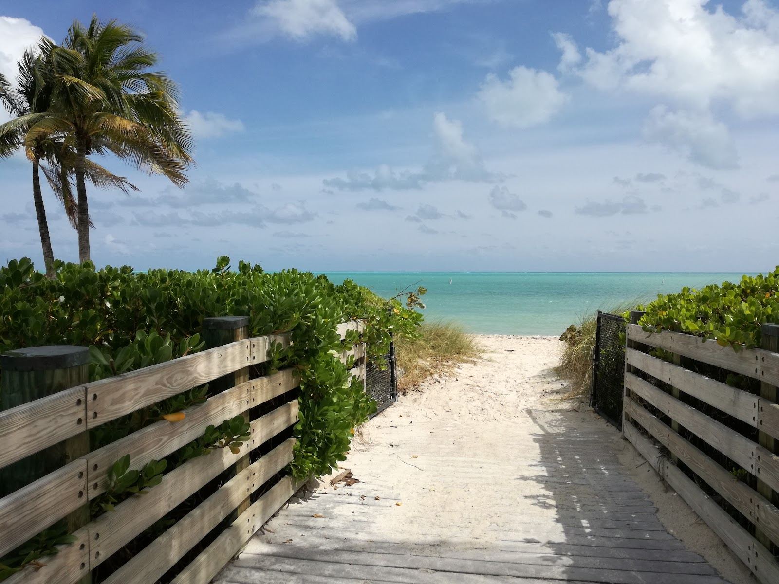 The clean palm backed sand and calm cove of Sombrero Beach in Marathon in the Florida Keys
