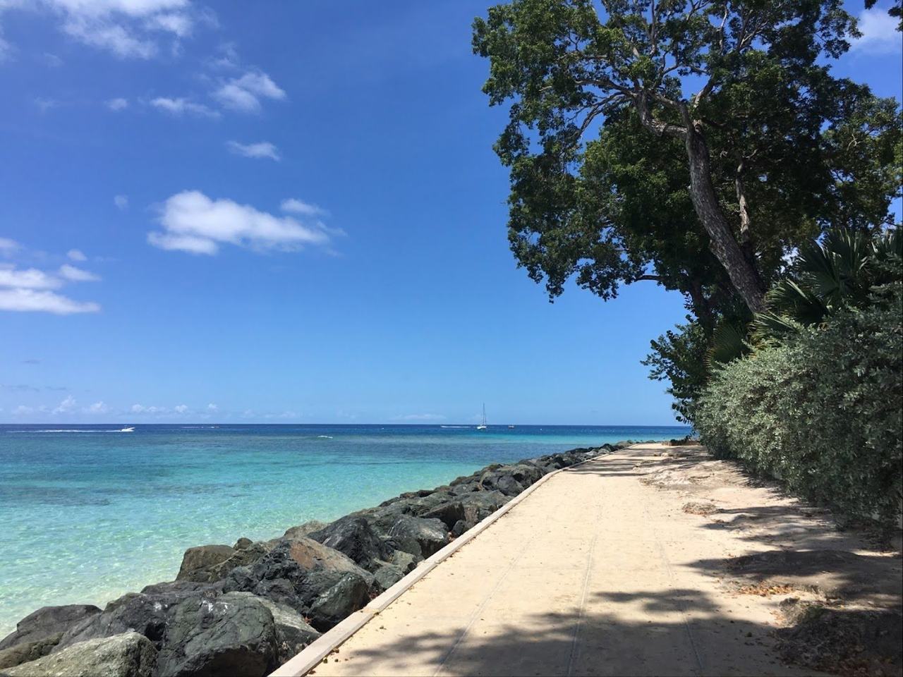 Snorkelers over the protected reef at Folkestone Marine Park on the Barbados west coast