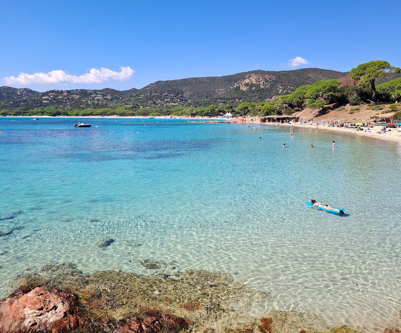 Pale sand, umbrella pines and turquoise water at Plage de Palombaggia in southern Corsica, France