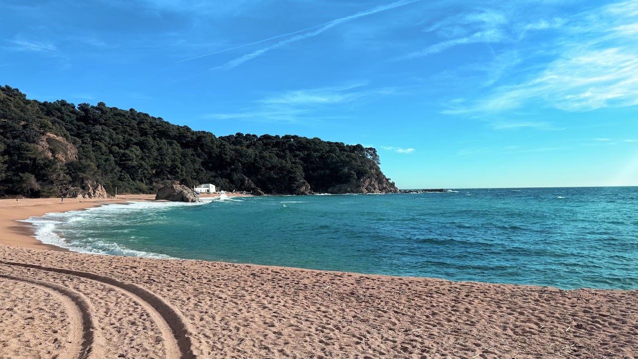 The sheltered cove of Cala Canyelles with its small marina and pine covered headlands